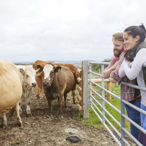 Couple leaning against gate on cow farm looking away